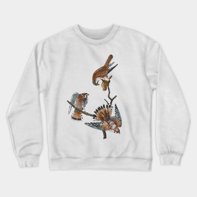 American Kestrel Crewneck Sweatshirt by Animal Surrealism